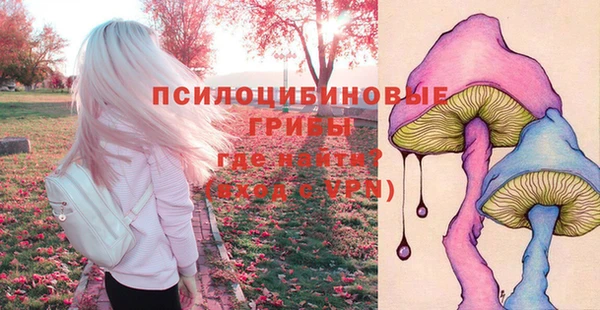 гашиш Абаза