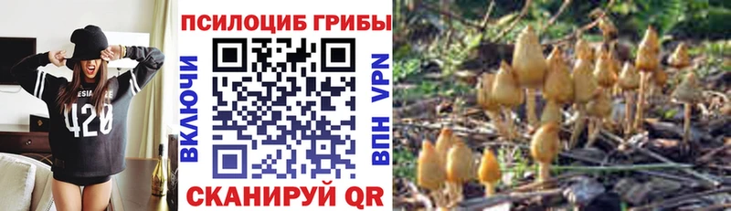 Галлюциногенные грибы прущие грибы  Цоци-Юрт 